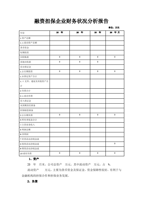 融资担保企业财务状况分析报告