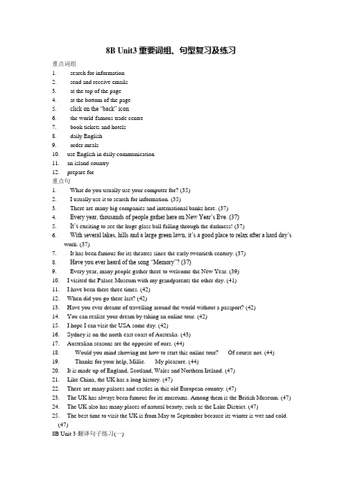 牛津译林版 8B Unit 3重要词组、句型复习及练习