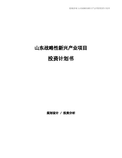 山东战略性新兴产业项目投资计划书