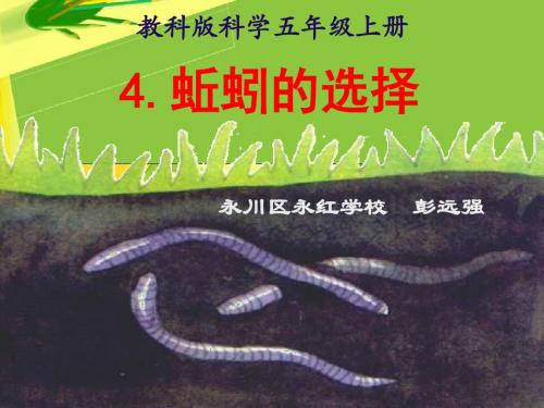 教科小学科学五上《1.4、蚯蚓的选择》PPT课件(1)