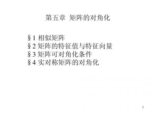 第五章1相似矩阵