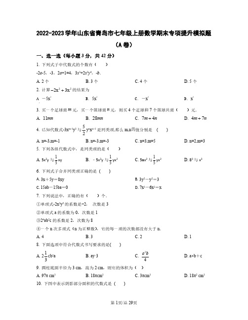 2022——2023学年山东省青岛市七年级上学期数学期末专项提升模拟题AB卷(含答案)