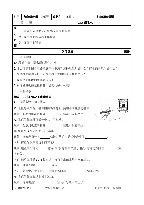 人教版九年级物理(全一册)学案：20.5磁生电(无答案)