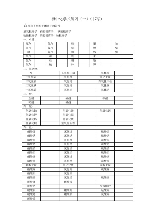 初中化学式练习及答案