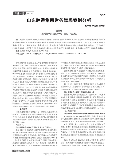 山东胜通集团财务舞弊案例分析