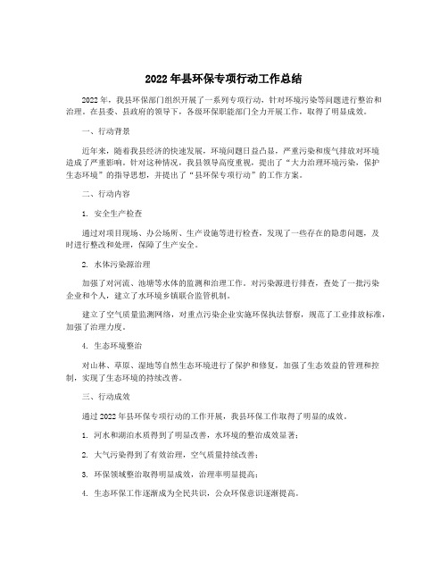 2022年县环保专项行动工作总结