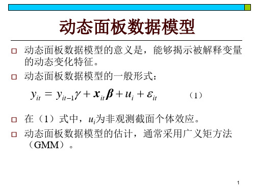 动态面板数据模型