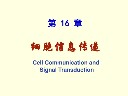 生物化学第16章细胞信息转导资料