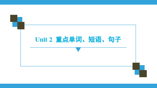 牛津深圳版八年级下册英语Unit 2 Body language重点单词、短语、句子 课件