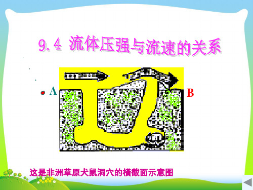 人教版物理八年级下册9.4流体压强与流速的关系课件(共25张PPT)