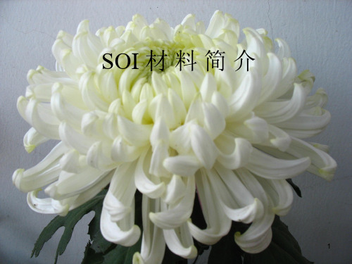 SOI简介