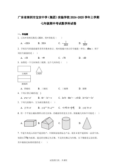 广东省深圳市宝安中学(集团)实验学校2024-2025学年上学期七年级期中考试数学科试卷