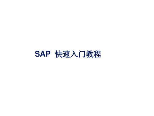 SAP专业培训教材SAP入门培训