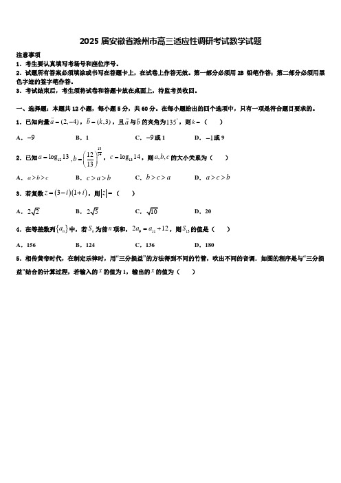 2025届安徽省滁州市高三适应性调研考试数学试题含解析