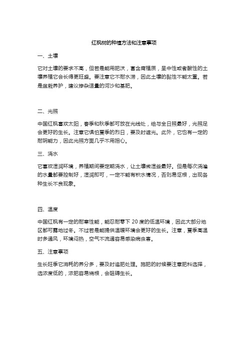 红枫树的种植方法和注意事项