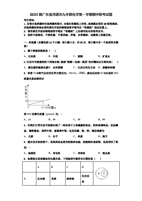 2024届广东省河源市九年级化学第一学期期中联考试题含答案解析