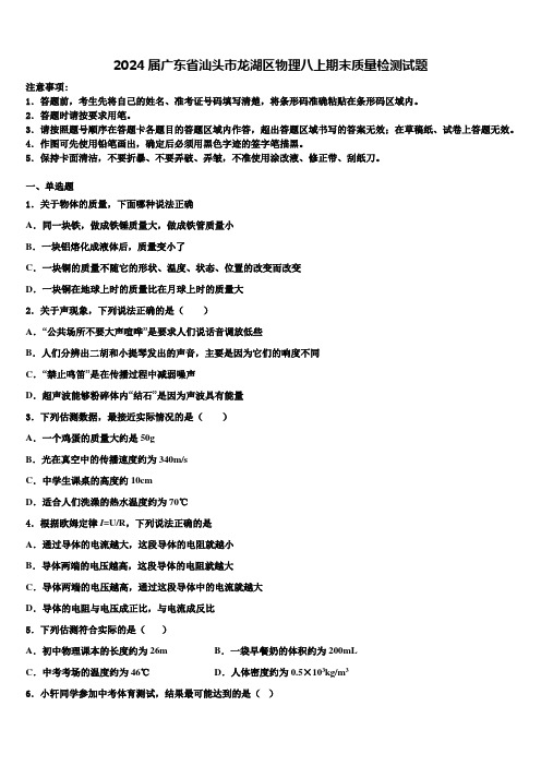 2024届广东省汕头市龙湖区物理八上期末质量检测试题含解析