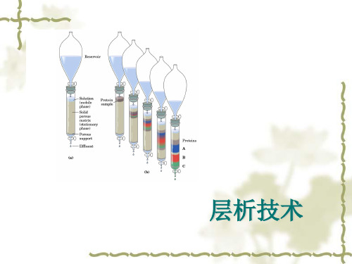 各类层析色谱分析技术完全讲解