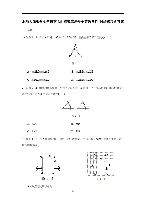 北师大版数学七年级下4.3 探索三角形全等的条件 同步练习