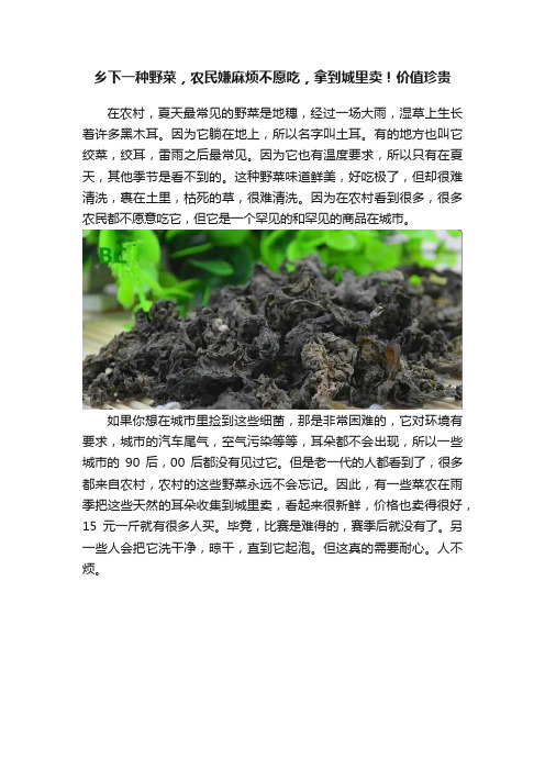 乡下一种野菜，农民嫌麻烦不愿吃，拿到城里卖！价值珍贵