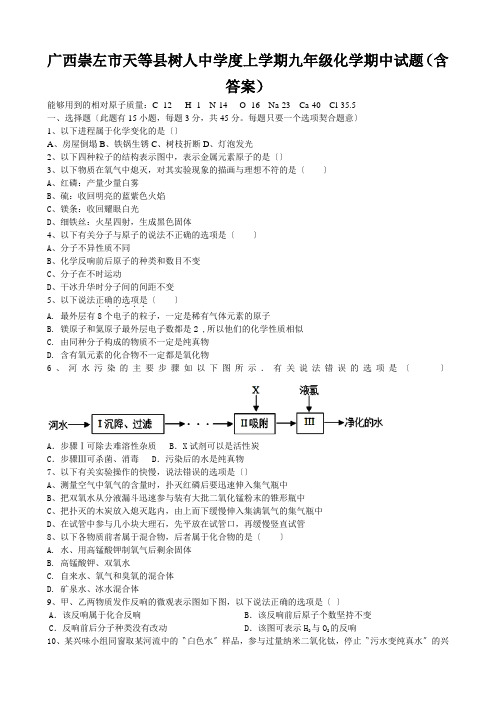 广西崇左市天等县树人中学度上学期九年级化学期中试题(含答案)