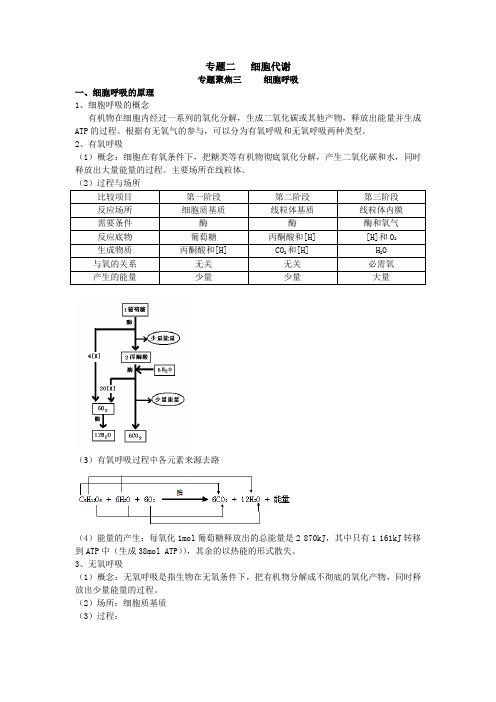 细胞呼吸