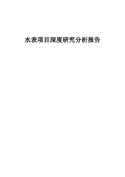 2024年水表项目深度研究分析报告