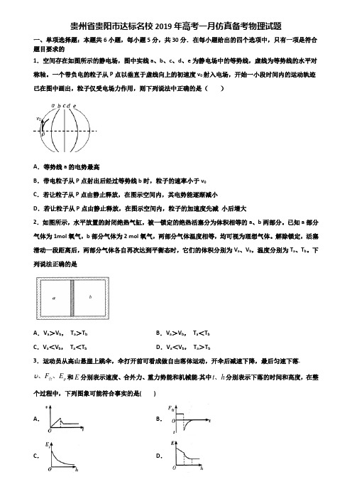 贵州省贵阳市达标名校2019年高考一月仿真备考物理试题含解析