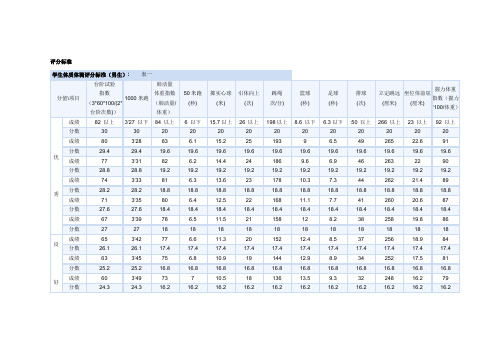 大学生体能试评分标准