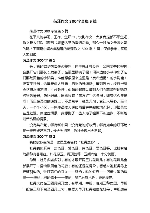 菏泽作文300字合集5篇