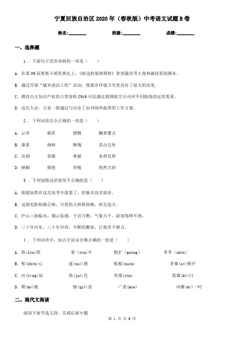 宁夏回族自治区2020年(春秋版)中考语文试题B卷