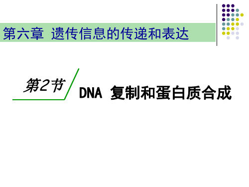 沪科版生物高中第二册6.2《复制和蛋白质合成DNA的复制》(共25张PPT)