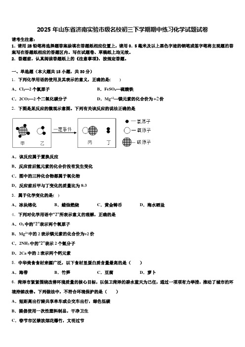 2025年山东省济南实验市级名校初三下学期期中练习化学试题试卷含解析