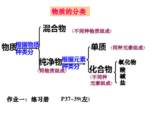  常见的酸和碱