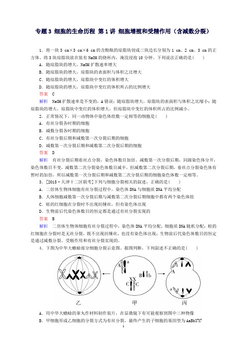 高考生物大二轮复习第一编专题3细胞的生命历程第1讲细胞增殖和受精作用(含减数分裂)