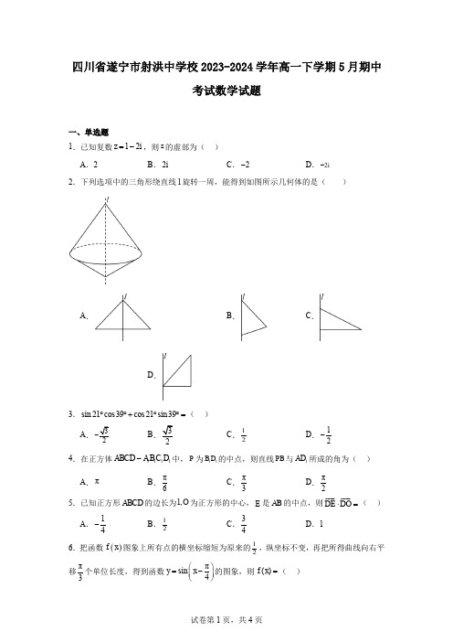 四川省遂宁市射洪中学校2023-2024学年高一下学期5月期中考试数学试题