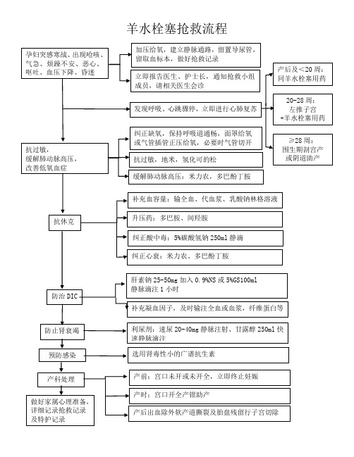 羊水栓塞抢救流程图