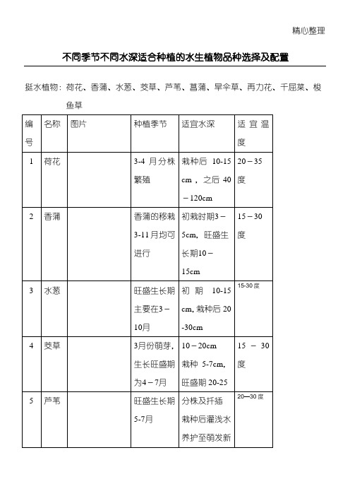 不同季节不同水深适合种植的水生植物选择