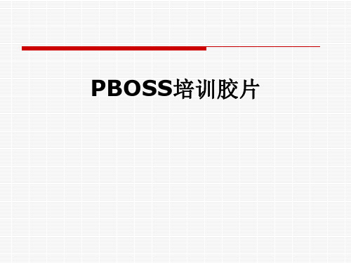 PBOSS培训胶片