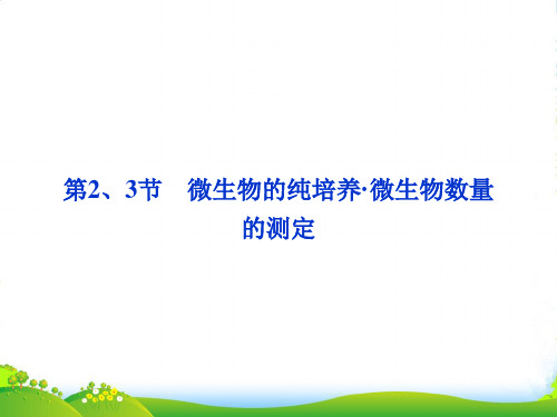 【优化方案】高中生物 第一章第2、3节微生物的纯培养 微生物数量的测定课件 北师大版选修1