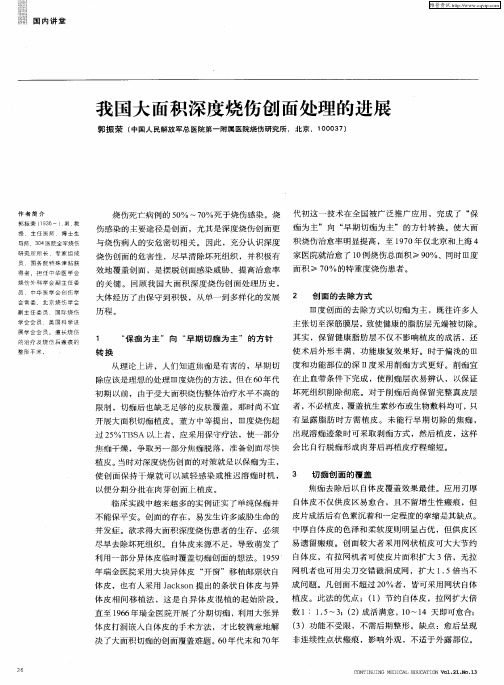 我国大面积深度烧伤创面处理的进展