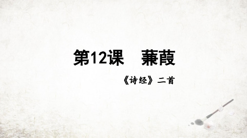 第12课《诗经二首——蒹葭》课件(共23张PPT)2023—2024学年统编版语文八年级下册