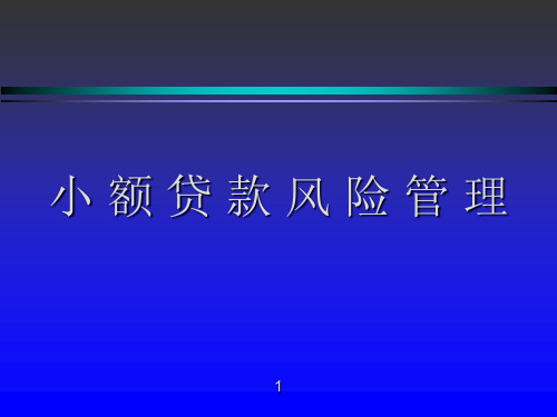 小额贷款风险管理