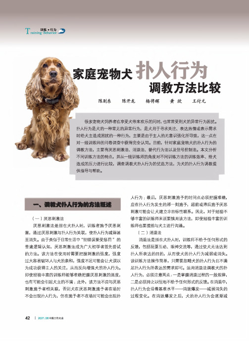 家庭 宠物犬扑人行为调教方法比较