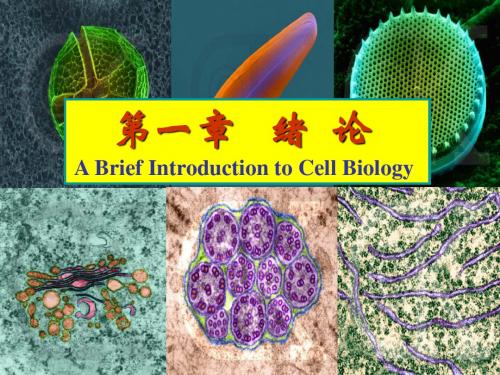 细胞生物学绪论ppt课件