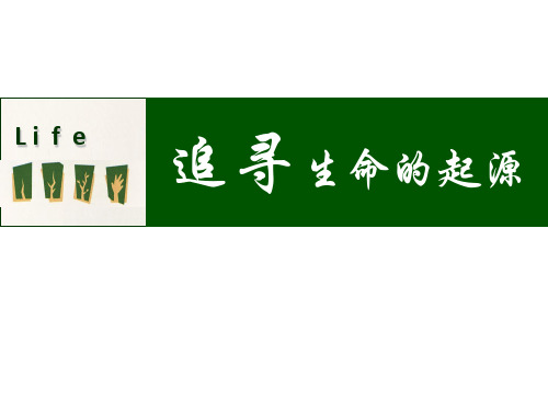 历史：《追寻生命的起源》课件(人民版必修三)·浙江省优质课一等奖课件