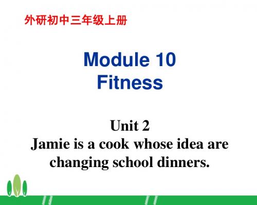 外研版九上Module10 Fitness Unit2 Jamie is a cook whose idea are changing school dinners