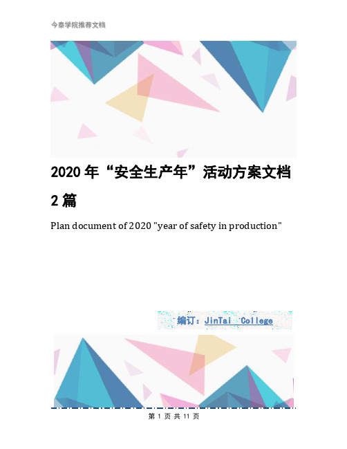 2020年“安全生产年”活动方案文档2篇