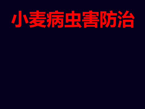 (完整版)小麦病虫害防治技术