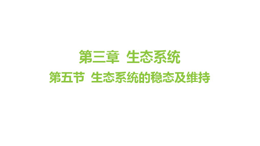 3.5生态系统的稳态及维持课件高二上学期生物选择性必修2(1)